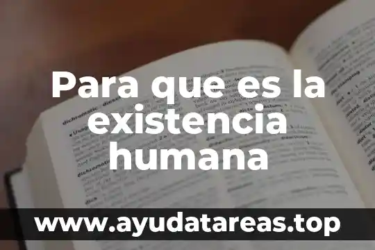 Fichas de Excel que es 7 Para que es la existencia humana
