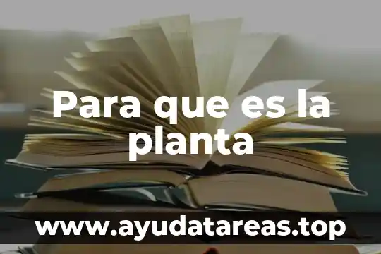 Qué es una planta de emergencia portátil 6 Para que es la planta