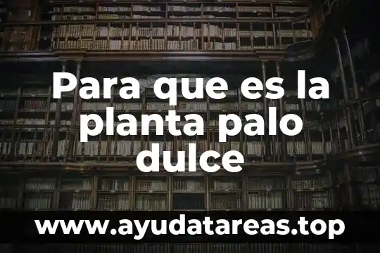 ¿Qué es más dulce la glucosa o la fructosa? 6 Para que es la planta palo dulce