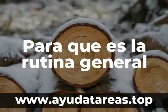 Que es un principio filosófico general 6 Para que es la rutina general
