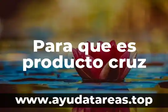 Nombre producto que es 6 Para que es producto cruz