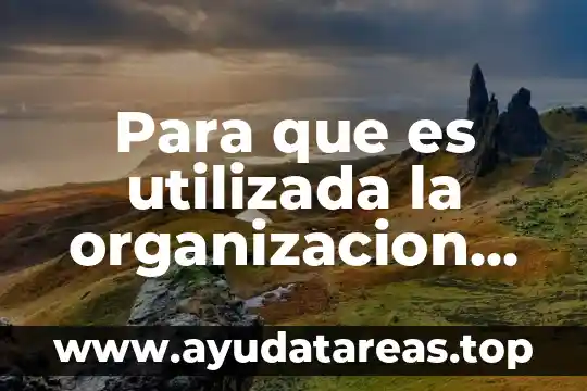 Para que es utilizada la organizacion no gubernamentales