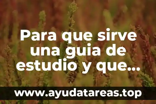 Que es mayéutica socratica para que nos sirve 3 Para que sirve una guia de estudio y que es