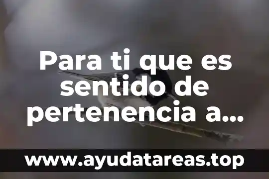 Qué es ser en el doble sentido tijeras 5 Para ti que es sentido de pertenencia a la humanidad