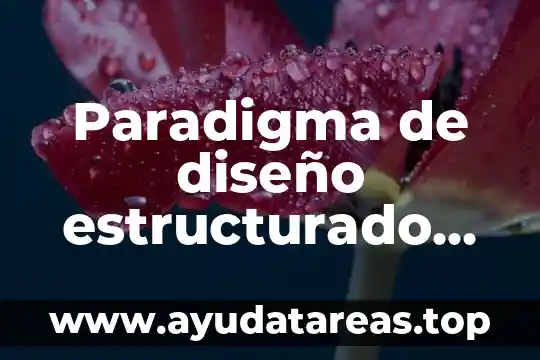 Paradigma de diseño estructurado que es