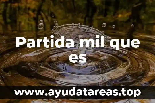 Partida mil que es