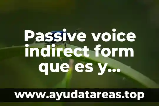 Que es un toolstrp en windows form 3 Passive voice indirect form que es y ejemplo