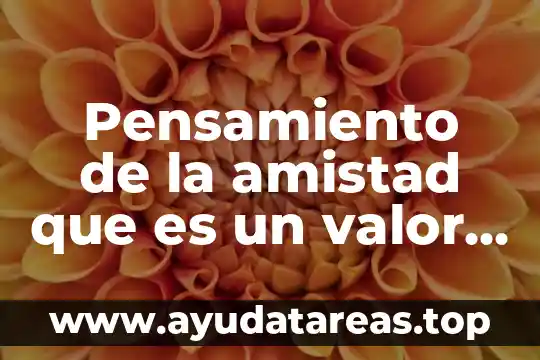Pensamiento de la amistad que es un valor para niños