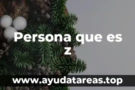Que es la teoria z 3 Persona que es z