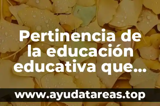 Que es pertinencia en la primaria 7 Pertinencia de la educación educativa que es