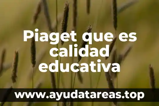 Qué es el concepto del número según Piaget 6 Piaget que es calidad educativa