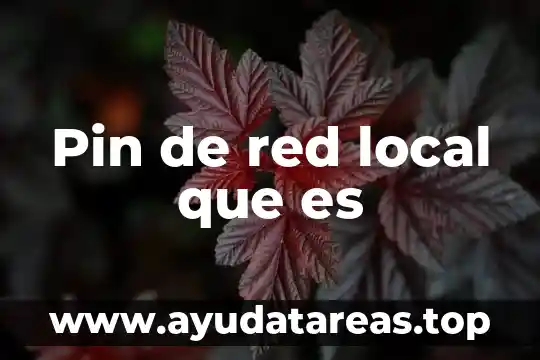 Qué es la prueba pin hole 5 Pin de red local que es
