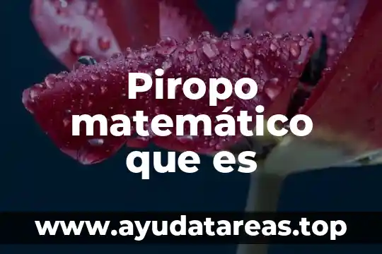 Que es lo que pide la aduana al importar 5 Piropo matemático que es