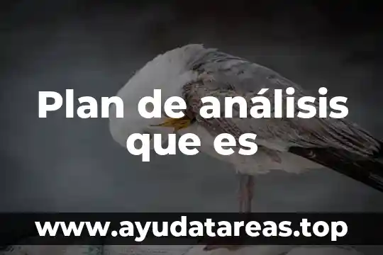Por qué es importante ayunar para un análisis de sangre 6 Plan de análisis que es