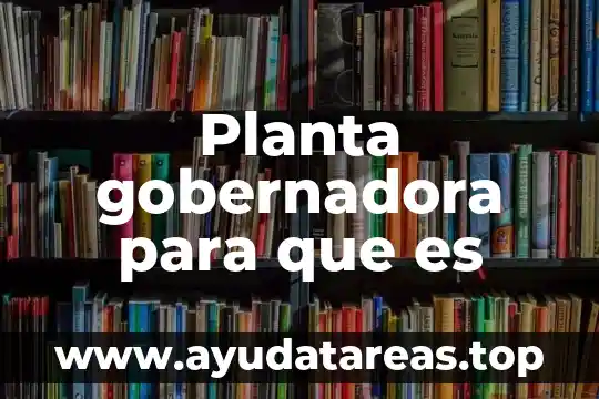 Que es una planta perenifolia 8 Planta gobernadora para que es