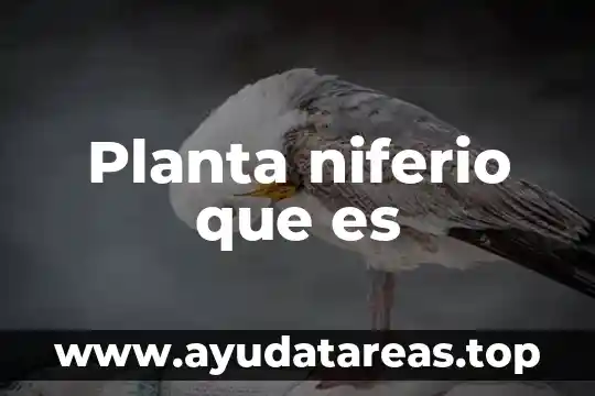 Volumen de ataques que es 6 Planta niferio que es