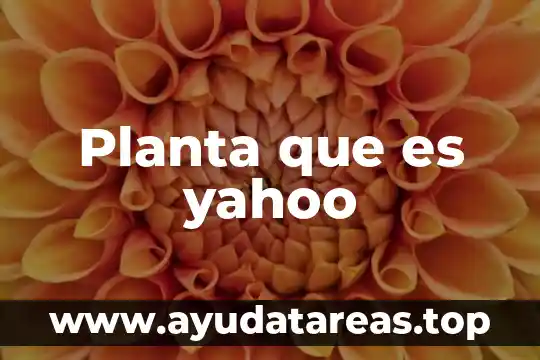 Que es desertificación yahoo resumen 5 Planta que es yahoo