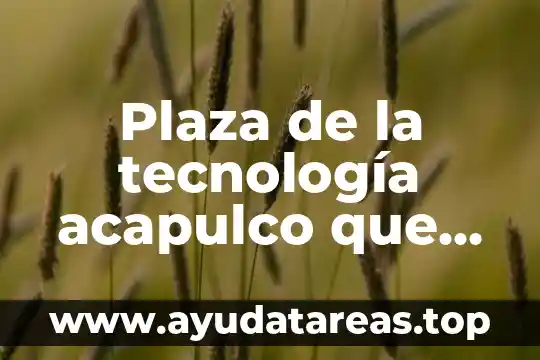 Plaza de la tecnología acapulco que es