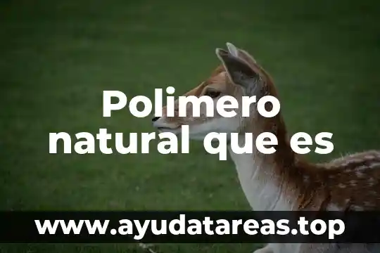 Polimero natural que es
