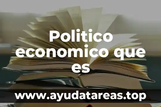 Politico economico que es