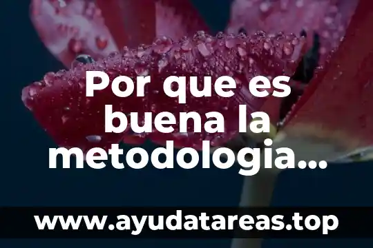 Por que es buena la metodologia de cascada