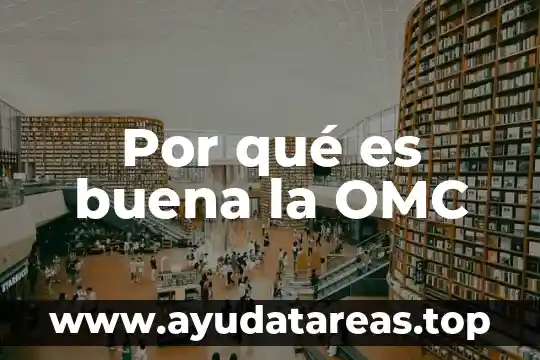 Por qué es buena la OMC