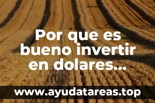 Por que es importante elegir a nuestros gobernantes 7 Por que es bueno invertir en dolares nuestros pesos