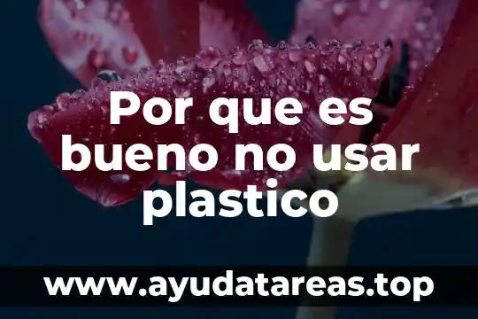 Por que es bueno no usar plastico