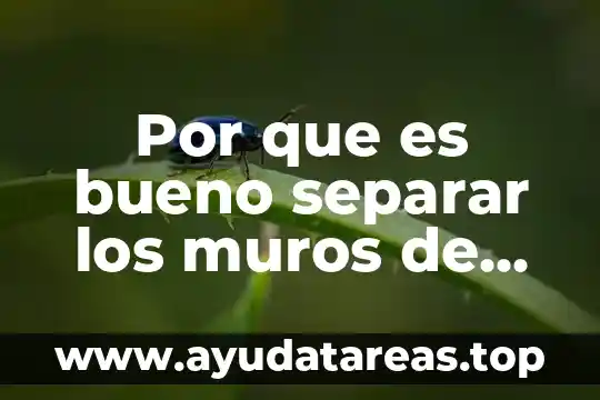 Por que es bueno separar los muros de las casas