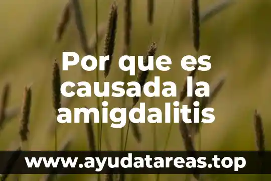 Hemofilia pediatria nombre del factor por el que es causada 7 Por que es causada la amigdalitis