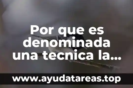 Por que es denominada una tecnica la contabilidad
