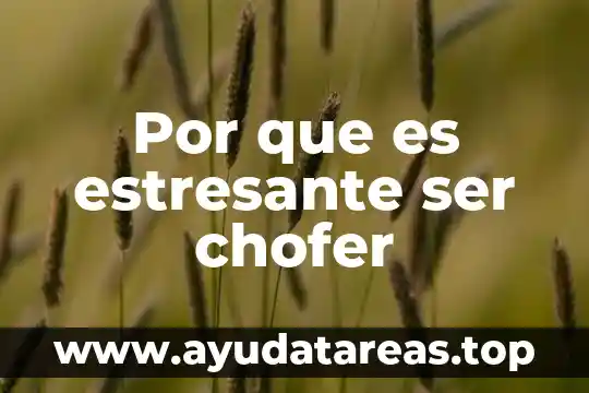 Que es ser chamoyenta 4 Por que es estresante ser chofer