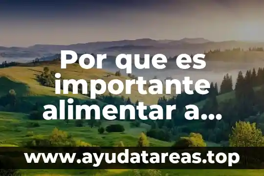 Por que es importante elegir a nuestros gobernantes 3 Por que es importante alimentar a nuestros perros