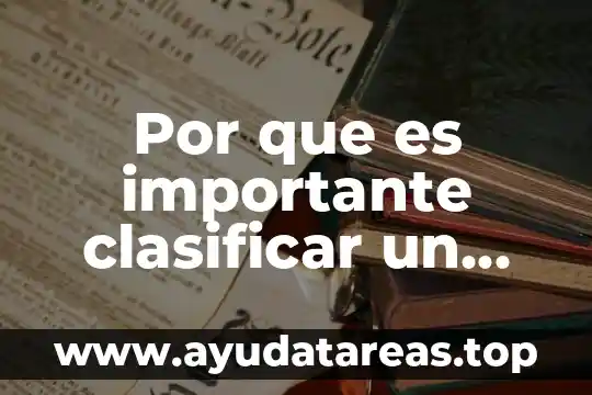 Por que es importante clasificar un sistema productivo
