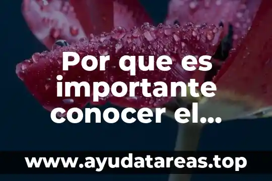 Por que es importante conocer el feminismo