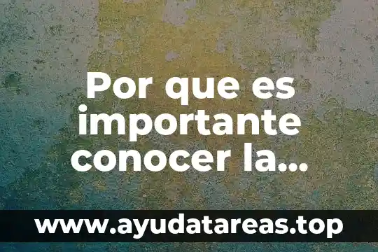 Por que es importante conocer la evolucion de la novela
