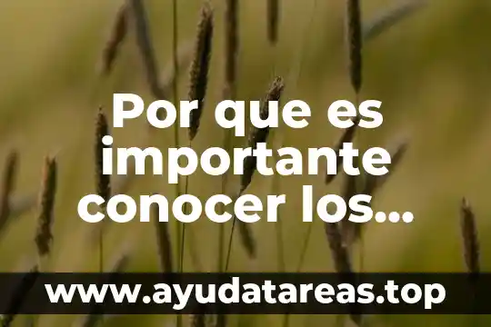 Por que es importante conocer los sentidos en un pedagogo