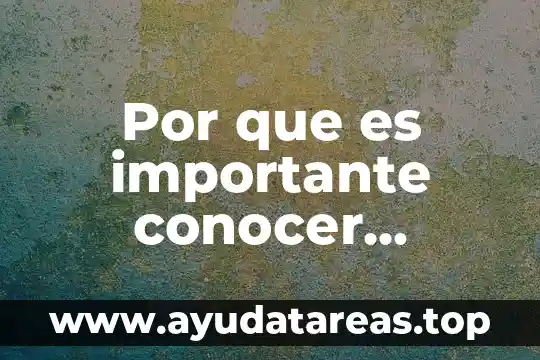 Por que es importante elegir a nuestros gobernantes 8 Por que es importante conocer nuestros derechos humanos