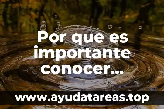 Por que es importante elegir a nuestros gobernantes 4 Por que es importante conocer nuestros derechos wkipedia