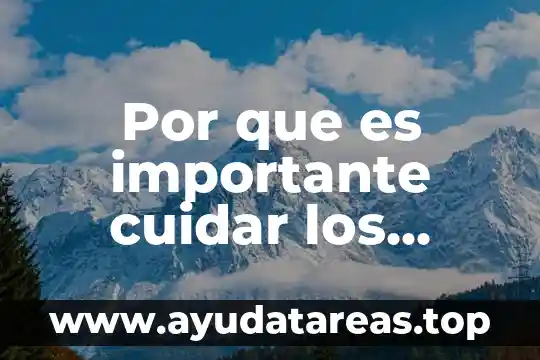 Por que es importante cuidar los acuiferos manantiales