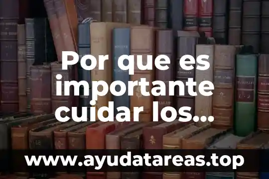 Por que es importante cuidar los ecosistemas del desierto