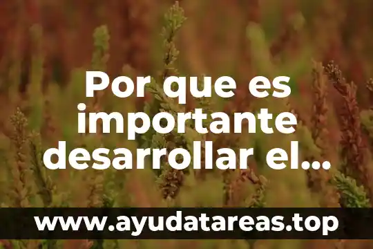 Que es aplicaciones para desarrollar demos 4 Por que es importante desarrollar el equilibrio en niños