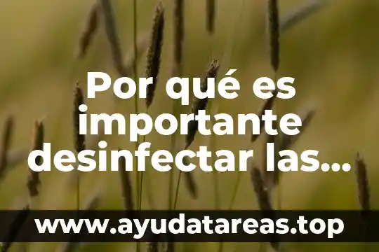 Por qué es importante desinfectar las frutas y verduras