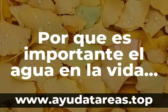 Que es plan de vida ejemplo 5 Por que es importante el agua en la vida diaria