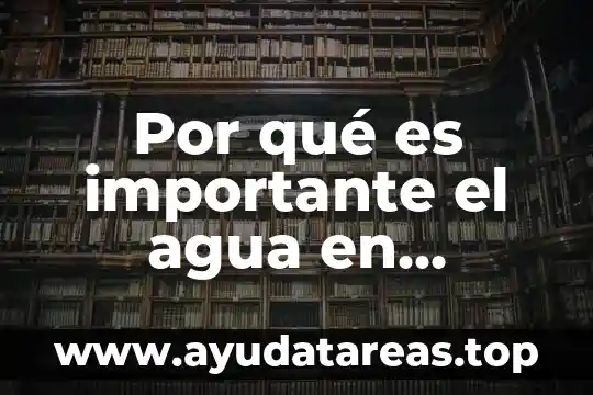 Que es hamamelis agua 4 Por qu茅 es importante el agua en nuestras vidas