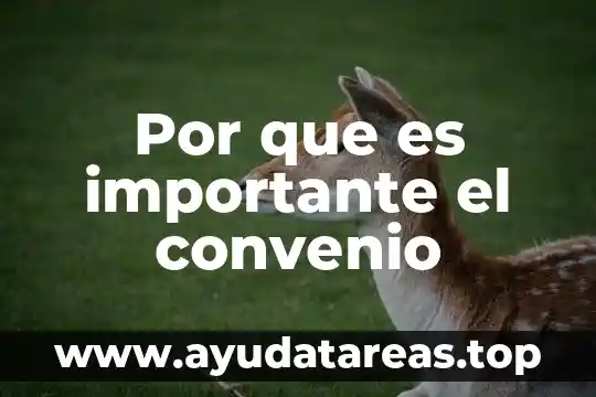 Que se significa biodiversidad y por que es importante 3 Por que es importante el convenio