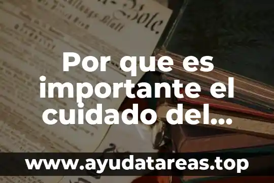 Por que es importante el cuidado del agua