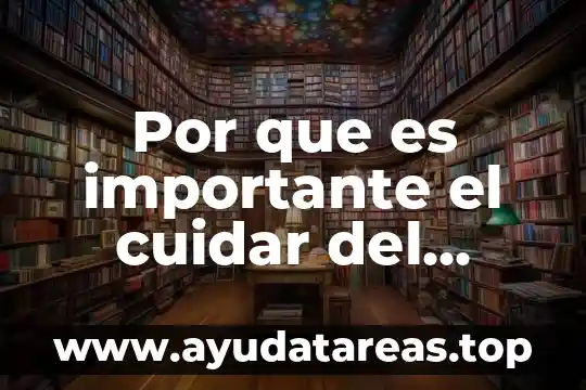Por que es importante el cuidar del ambiente