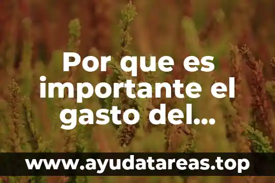 Por que es importante el gasto del consumidor