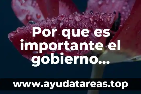 Por que es importante el gobierno ensayo